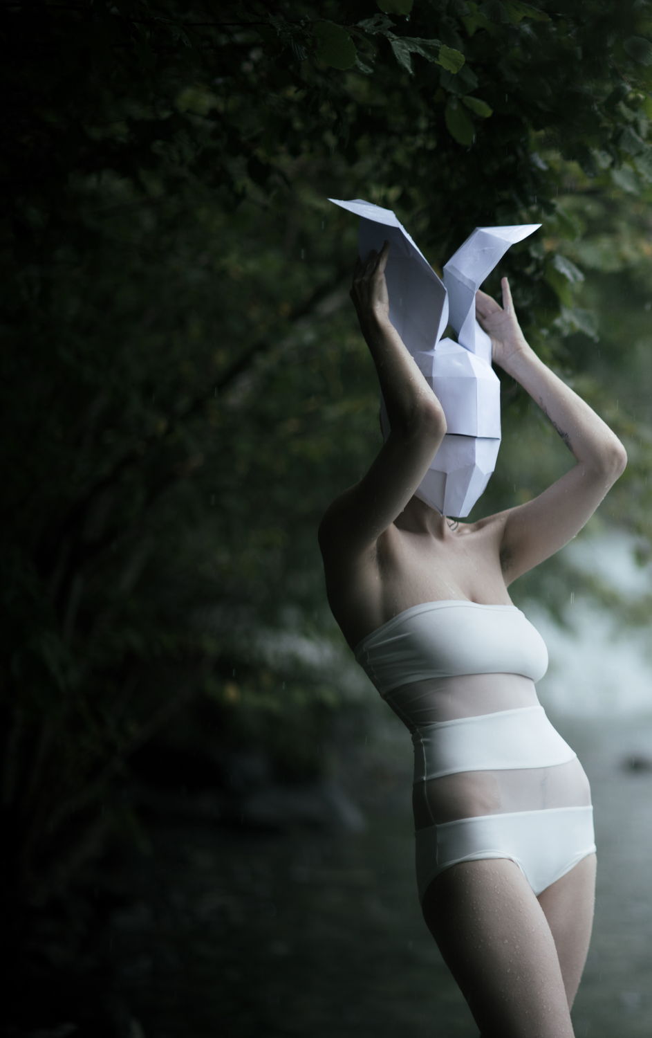 Lake edge, paper ears, after